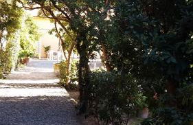 Villa Salvini - Foto 3
