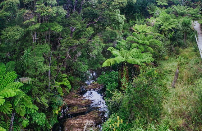 Sunrise Garden Suites - Photo 52