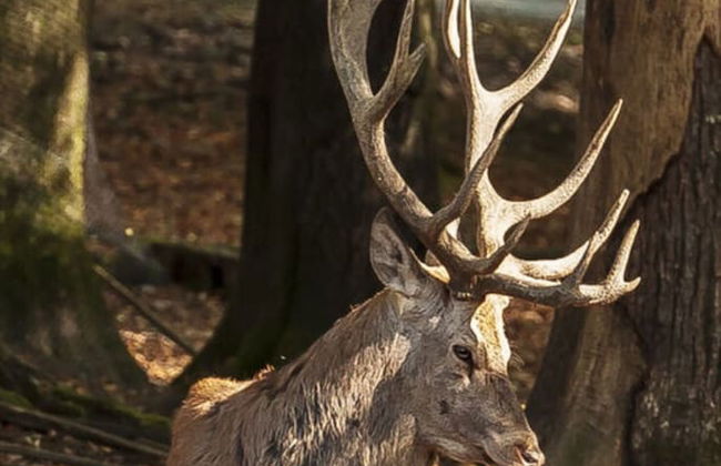 Nice Apartment in Daun-waldkonigen - Photo 18