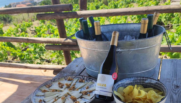 Wine Tour in Manilva - Foto 2