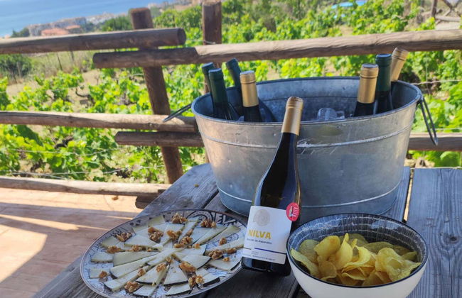 Wine Tour in Manilva - Foto 2