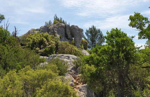 Gîte dans Mas provençal ,havre de paix - Foto 25
