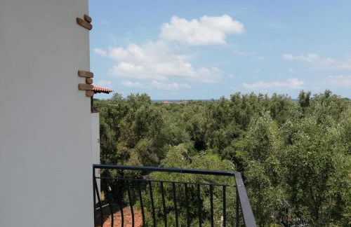 L' Agrumeto - Photo 12