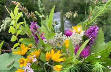 Anna Apartment 5 - Foto 17