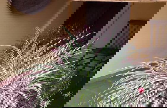 Casa di Campagna Dal Pozzo - Foto 61