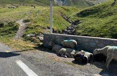 L'Argalyde Esprit Pyrénées Wellness & Cycling - Foto 45