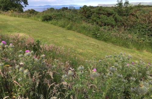 Causeway Coast Country Cottage, Pet-friendly - Foto 19