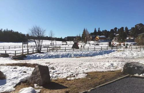 Apt confortable au pied des pistes et de la forêt - Foto 43