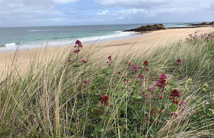 Maison pour 6 à Erquy - Piscine collective - Foto 24