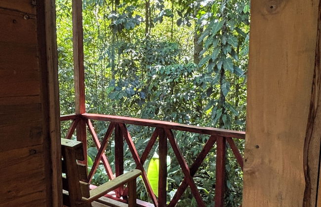 Citronela Lodge Corcovado - Foto 12