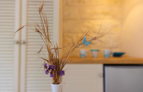 Monachofolitses - Photo 23