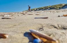 la Margaret Face mer - Foto 11