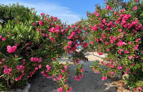 Apartmani Tonko - Foto 8