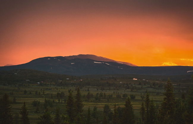 Modern Mountain Cabin - 3 Bedrooms - Sleeps 7 - Foto 41