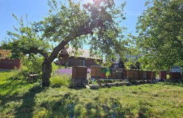 Agroturystyka u Joli - Foto 18