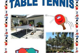 Villa das Palmeiras - Foto 61