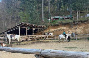 Chalet Lawà - Foto 18