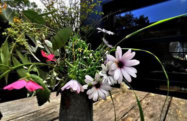 les Cottages du Valcoquet - Foto 25