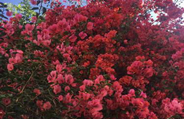 Bunker 11 Surf House - Foto 27