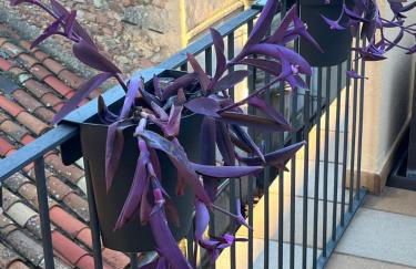 Les Golfes de Can Mascarbo, mimar-te en un confortable espai - Foto 48