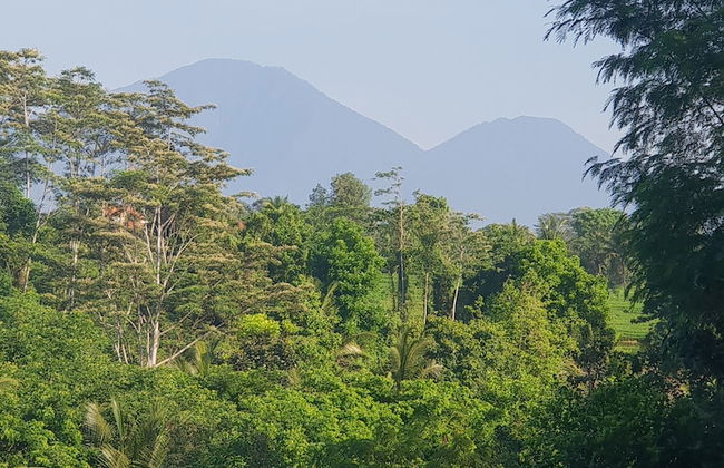 Villa Hati Indah - Foto 66