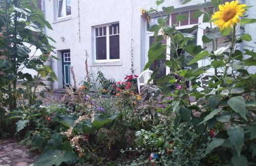 Gästewohnung SEETOR - Foto 10