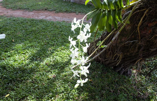 Villa Shade - Photo 70