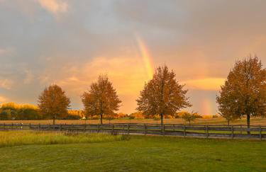 Urlaubsglück Familien- & Hunde-Paradies - Foto 25