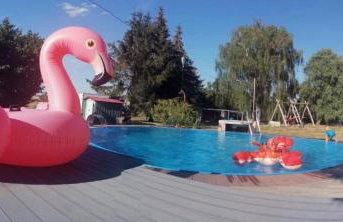 Hof Grübler - Photo 2