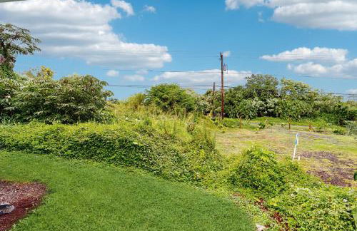 Opakapaka Ohana - Photo 23