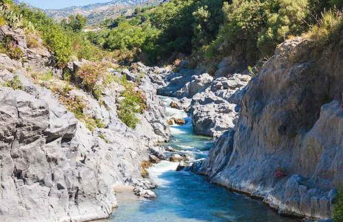 Josef House - Foto 21