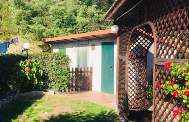 Green House - Foto 17