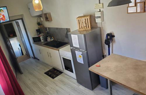 Le Phoenix 30 m2 - lumineux et bien agencé - Foto 9