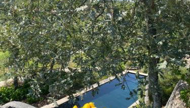 Palheiro Mezio - Photo 2