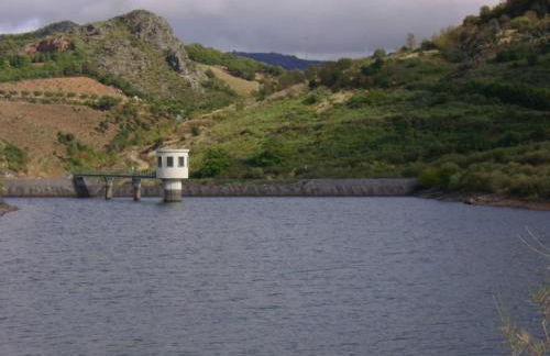 Anjú-Pardal - Foto 62