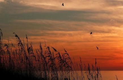 Beach Palms- Unit 102 - Foto 33