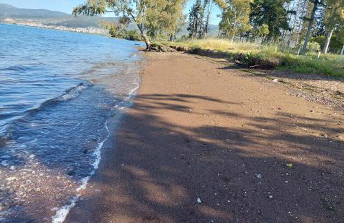 Villa Laguna -house by the beach - Foto 1