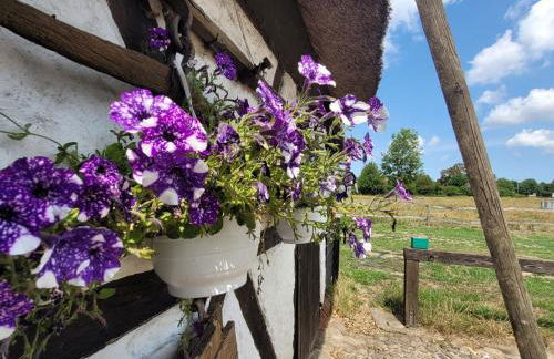 Ferienhof Schwalbennest OFC 24 - Foto 57