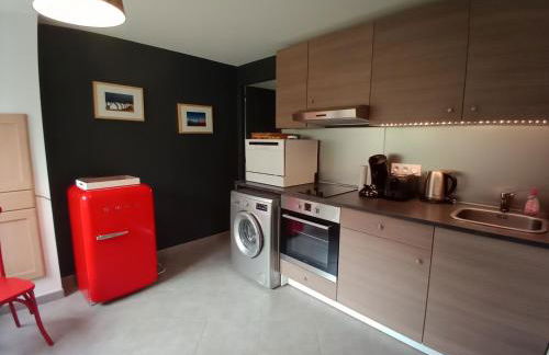 DOMAINE DES TISSEYS vue sur le Mont St Michel - Foto 22