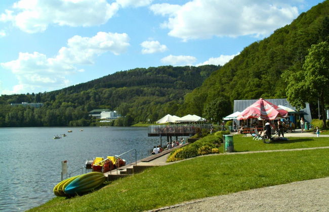 Olsdorf Forestview Apartment - Photo 36