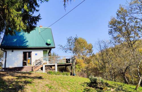 UNDER THE GREEN ROOF - Foto 44