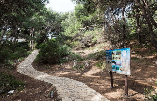 Apartments Limuni - Foto 63