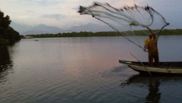 Escursione alla Ciénaga Grande di Santa Marta - Foto 2