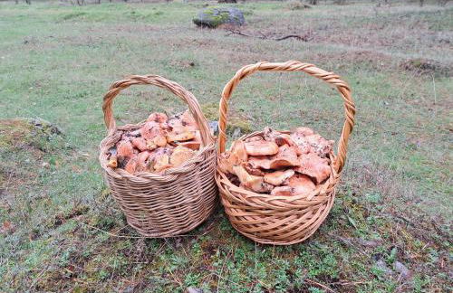 Casa Rural Alta Ladera - Photo 28