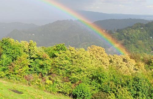 Sweet Sky apartman - Foto 16