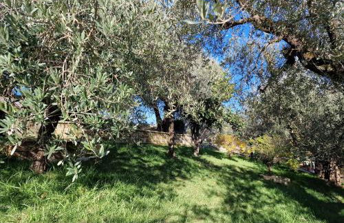 Habitat - Casa Vacanze Perugia - Foto 15