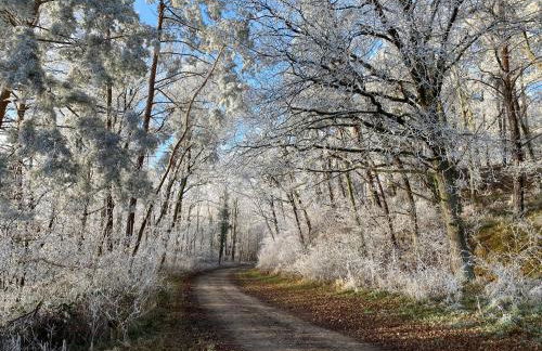 elbe511ferienzuhause im parkähnlichen Garten mit Teich - Foto 51