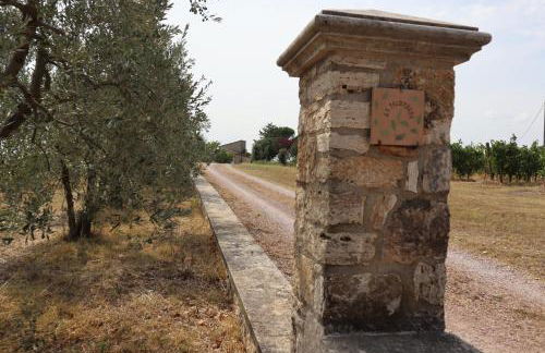 La Palombara - Foto 12