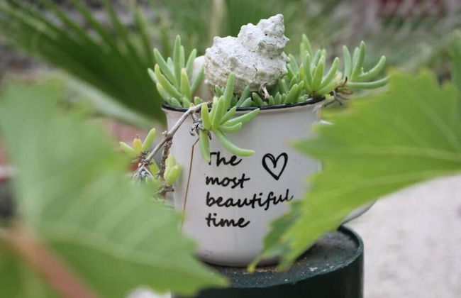 Sea View Apartment Orhideja, Sleeps 4 - Foto 18