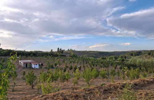 Quinta dos Mascarenhas Nature House - Foto 51